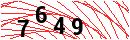 Security Verification