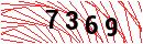 Security Verification