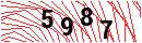 Security Verification
