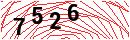 Security Verification