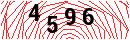 Security Verification