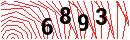 Security Verification