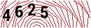 Security Verification