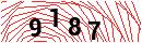 Security Verification