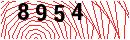 Security Verification