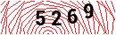 Security Verification
