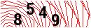 Security Verification