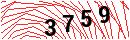 Security Verification