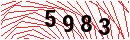 Security Verification