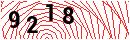 Security Verification
