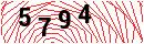 Security Verification