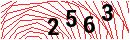 Security Verification