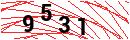 Security Verification