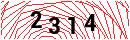 Security Verification