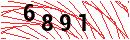 Security Verification