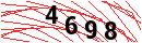 Security Verification
