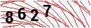 Security Verification