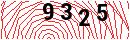 Security Verification