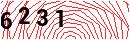 Security Verification