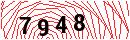 Security Verification