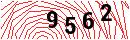 Security Verification