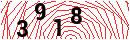 Security Verification