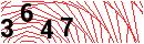 Security Verification
