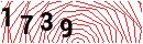 Security Verification