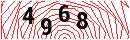 Security Verification