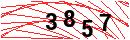 Security Verification