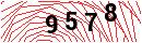Security Verification