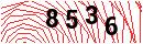 Security Verification