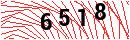 Security Verification