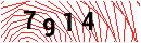 Security Verification