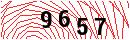 Security Verification
