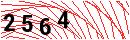 Security Verification