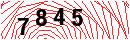 Security Verification