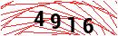 Security Verification