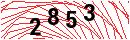 Security Verification