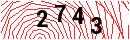 Security Verification