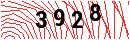 Security Verification