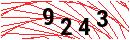 Security Verification