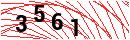 Security Verification