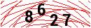 Security Verification