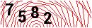 Security Verification