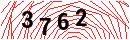Security Verification
