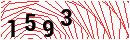Security Verification