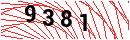 Security Verification