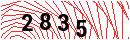 Security Verification