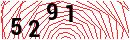 Security Verification
